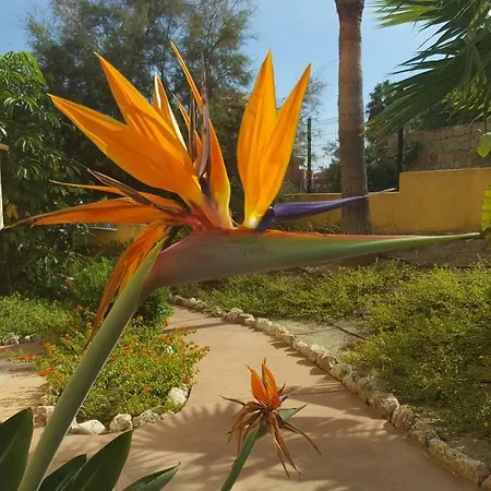 Duquesa Village *